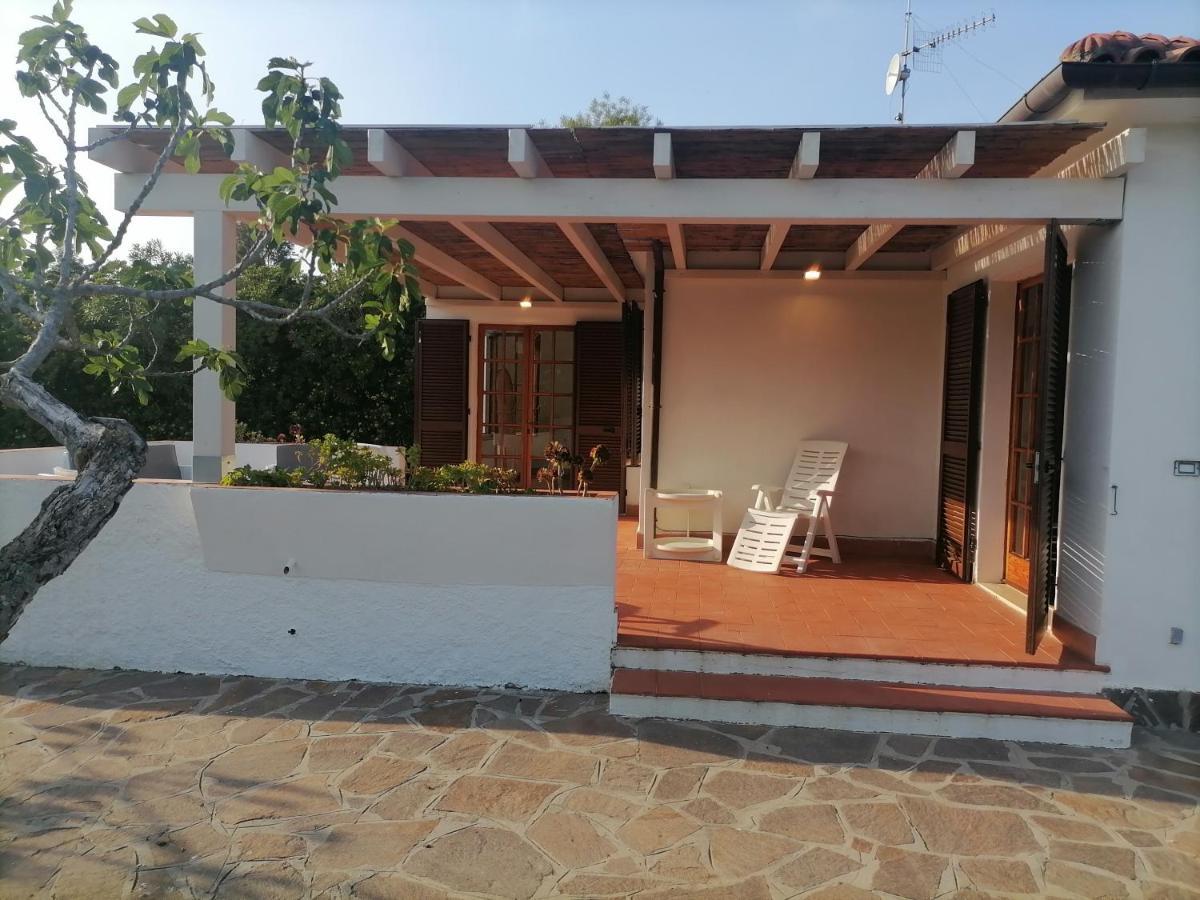 Appartement Le Palme à Capoliveri  Extérieur photo