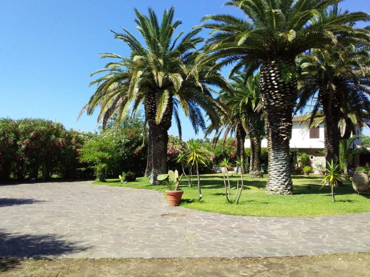 Appartement Le Palme à Capoliveri  Extérieur photo