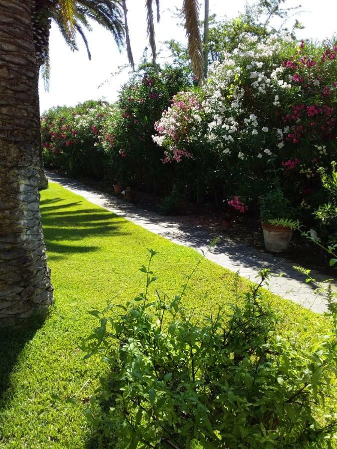 Appartement Le Palme à Capoliveri  Extérieur photo